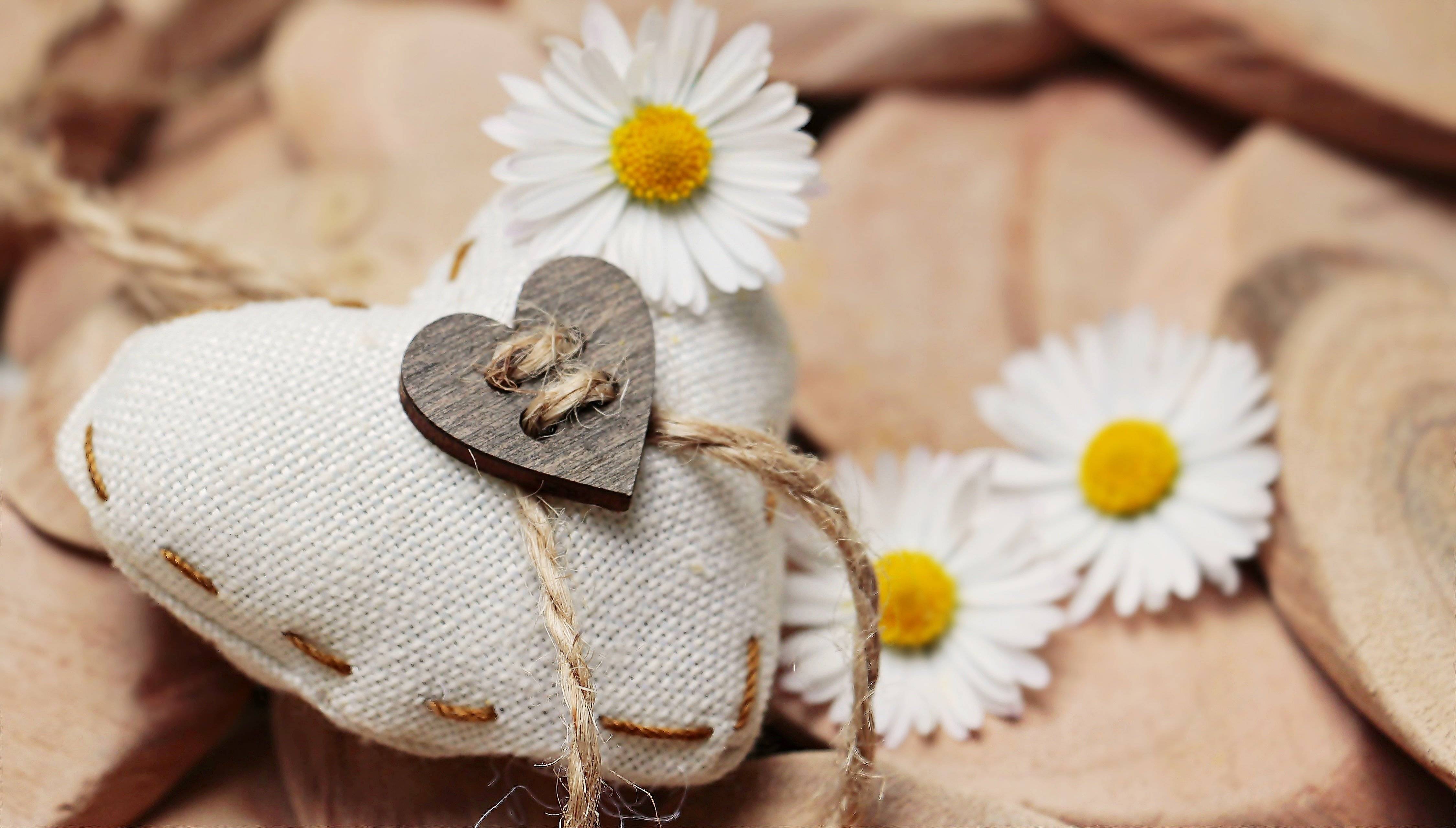 Комнатные цветы для женского счастья и любви: 20 разновидностей с фото