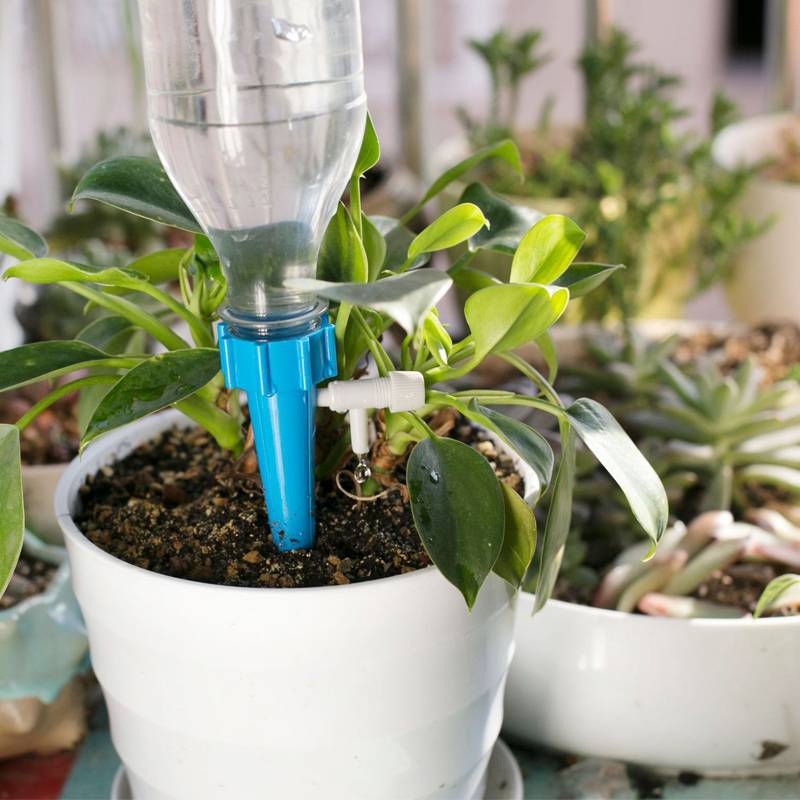 Системы капельного полива для комнатных растений
