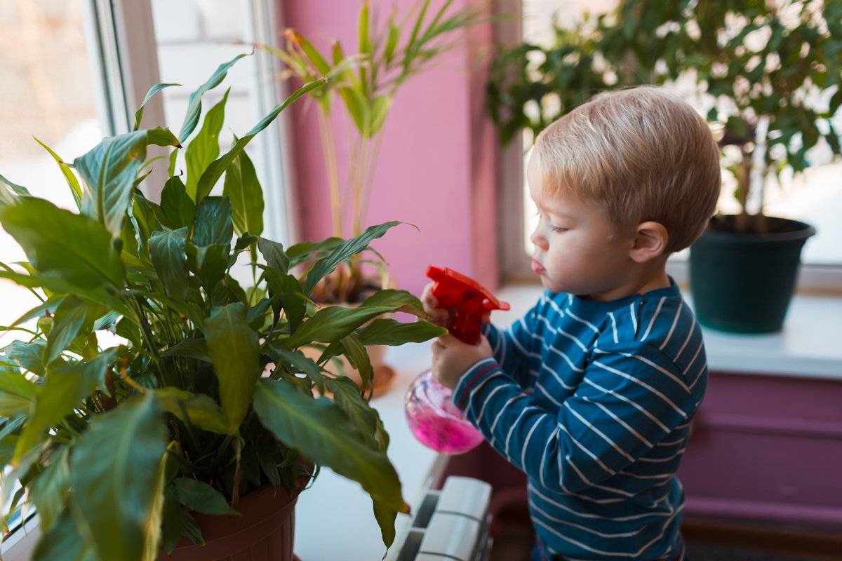 Как подобрать растения для детской комнаты - каталог статей на сайте - домстрой