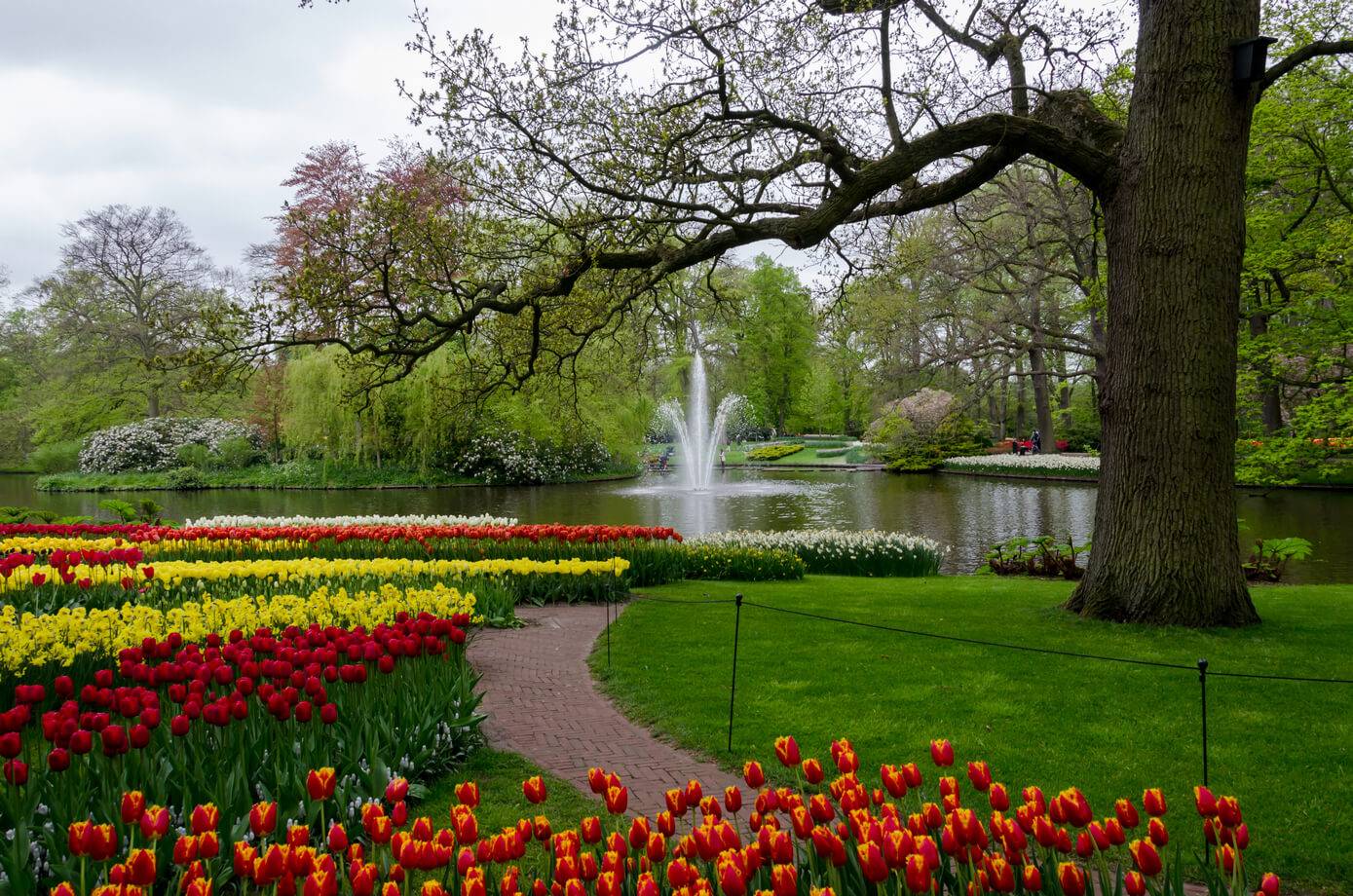 Кёкенхоф – королевский парк цветов в голландии | чудеса природы