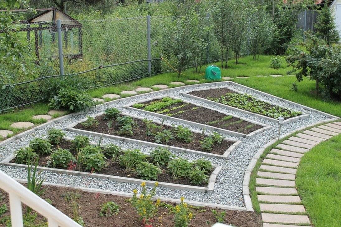 Декоративный огород — идеи для вдохновения и полезные советы — ботаничка