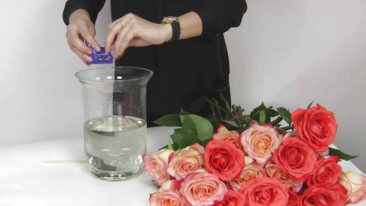 Как реанимировать розы в ванной с холодной с водой, если они подвяли в вазе