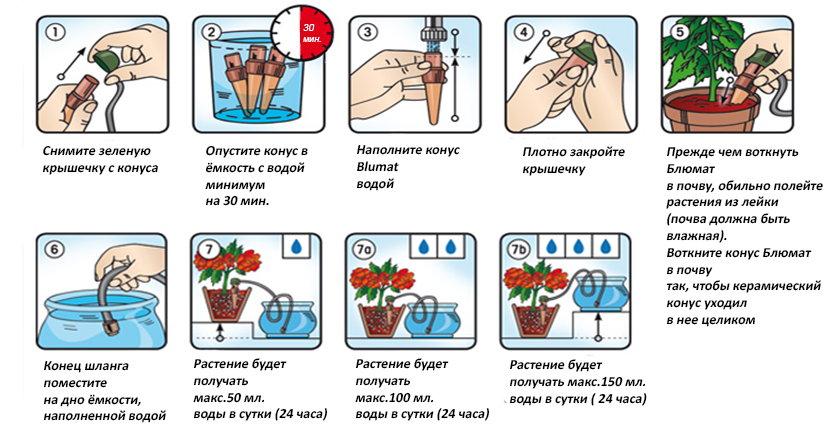Как правильно поливать комнатные растения