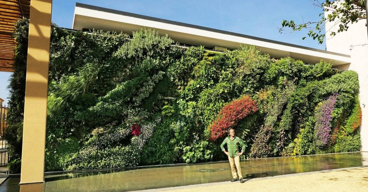 «живые» фасады от патрика блана: как заставить расти траву и цветы на вертикальных поверхностях