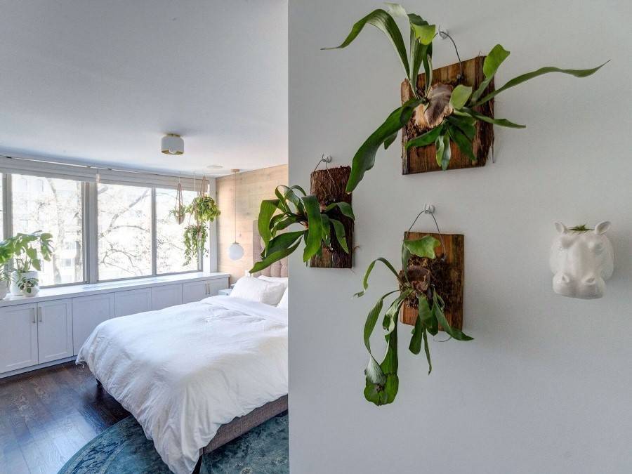 Стоит ли держать дома орхидею — приметы и суеверия про цветок