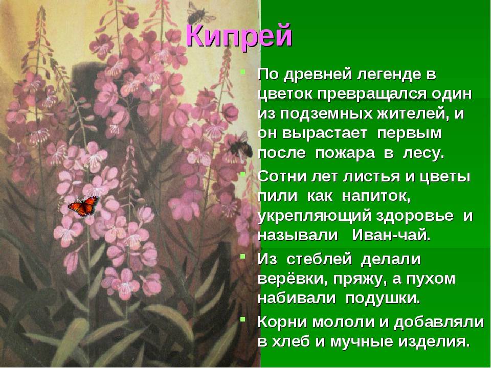 Природные символы в русско-украинской народной культуре.