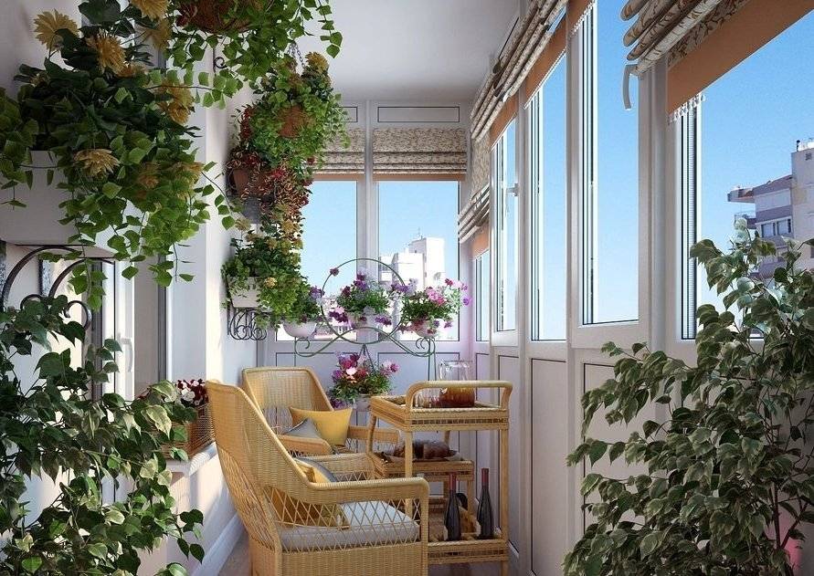 Цветы на балконе: 15 подходящих разновидностей, выбор грунта и обустройство цветника