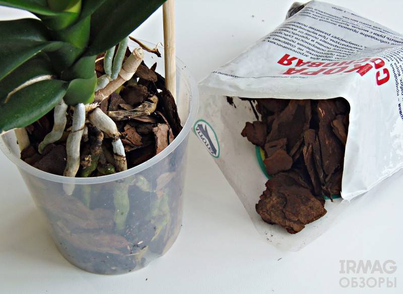 Примеры как можно использовать кору для орхидеи, приготовление в домашних условиях