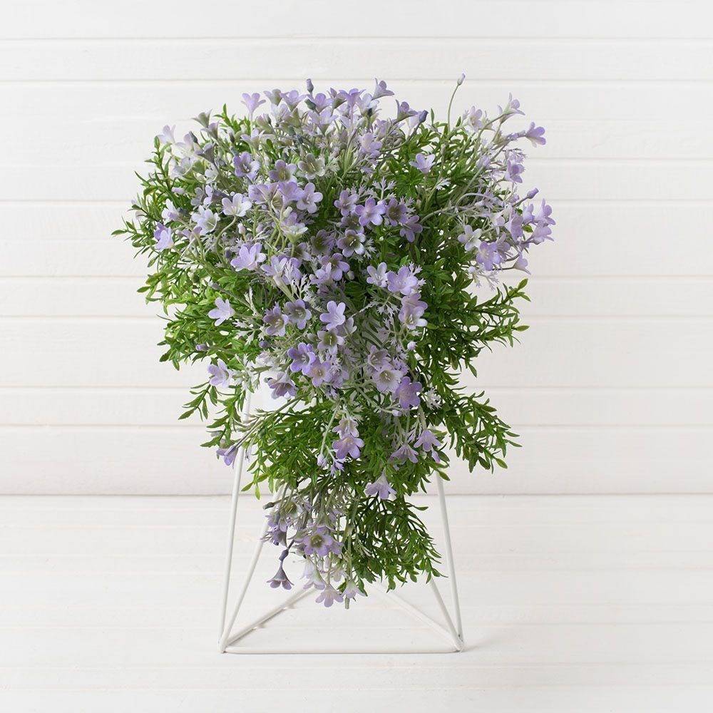 Ампельные комнатные растения: какие виды свисающих цветов существуют и какой висячий цветок самый неприхотливый; правила ухода в домашних условиях
