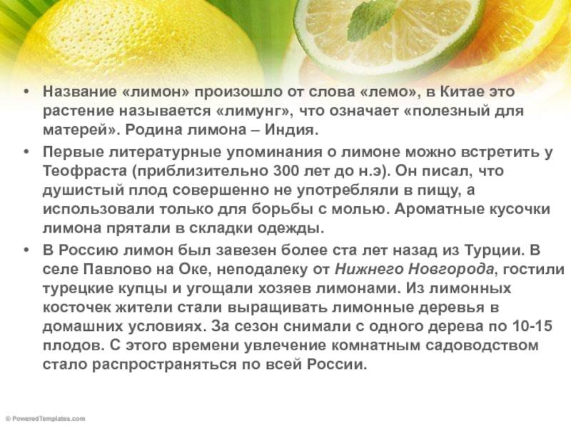 Как обрезать лимон: правила, сроки и рекомендации по выбору инструмента. 115 фото и видео инструкция по уходу за лимоном