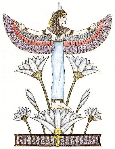 Священный цветок египтян  цветок лотоса что означает?