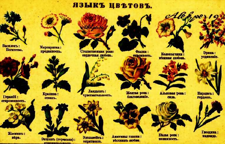 Значение и символика цветов