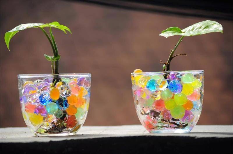 Гидрогель для растений: разновидности, инструкция по применению и способы использования для цветов