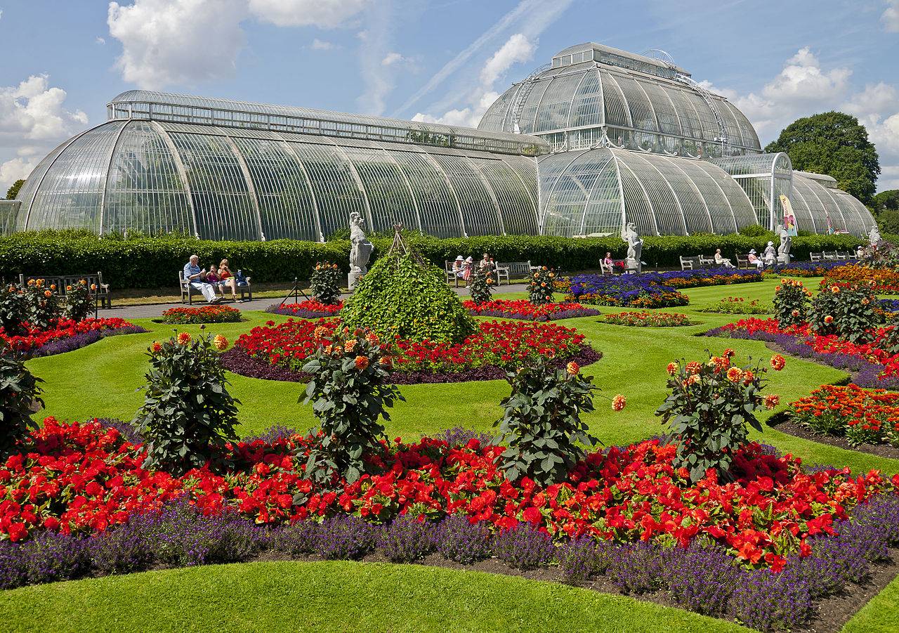 Королевские ботанические сады кью, лондон — сайт, фото, отели рядом, отзывы, как добраться | туристер.ру