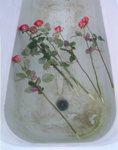 Как реанимировать розы в вазе с водой, если они вянут, когда требуется оживить завядшие цветы, в каком случае спасти не получится? selo.guru — интернет портал о сельском хозяйстве