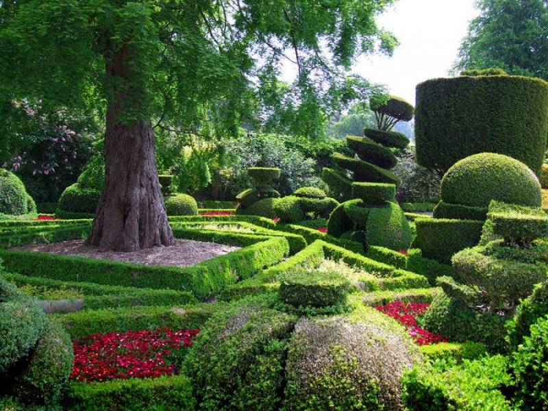 ᐉ левенс холл – самый красивый топиарный сад англии - hydrosad.ru