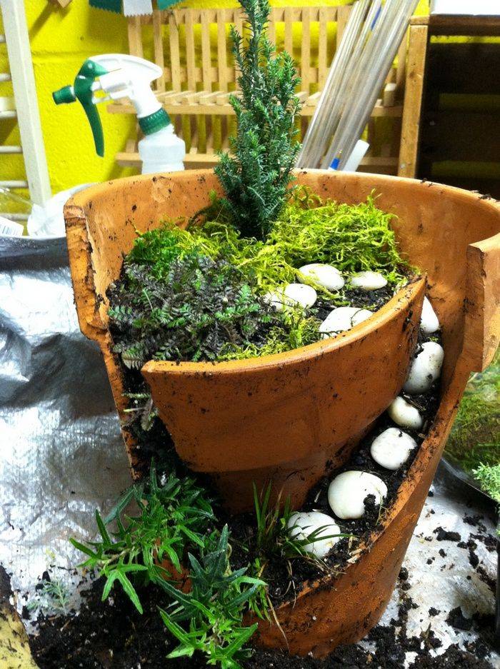 Как сделать сад в горшке своими руками: пошаговый мастер-класс по изготовлению мини-сада