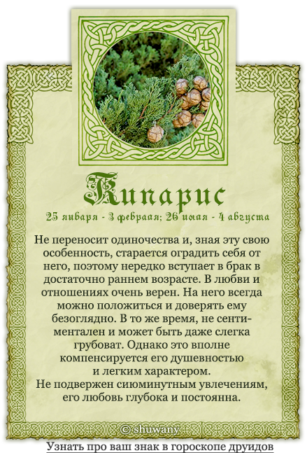 Гороскоп друидов и дерево-покровитель по знаку зодиака