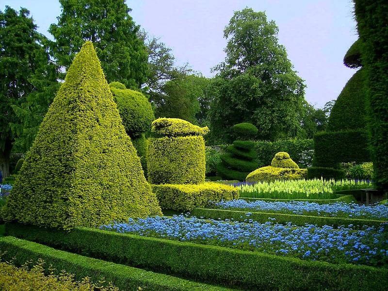 Сад левенс холл – самый красивый и самый ароматный сад в мире, англия — вокруг мира