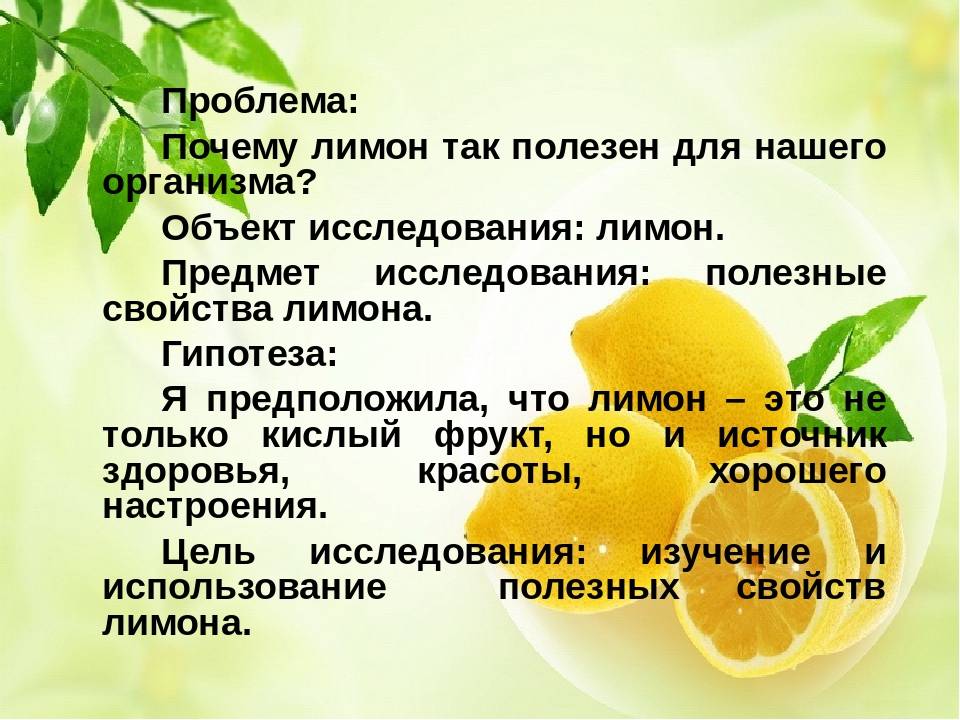 Где растет лимон: описание, страна и интересные факты :: syl.ru
