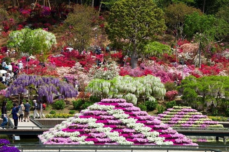 Японский сад: сосредоточенность, спокойствие, умиротворенность. мини-сад цубо.