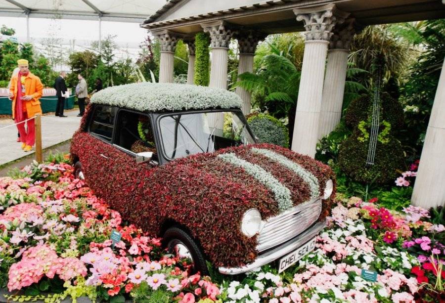 Где проводятся самые масштабные цветочные выставки и что на них можно увидеть