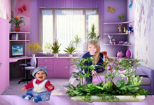 Комнатные растения для детей: названия и описания безопасных домашних цветов для школьников и малышей, критерии выбора и расстановки