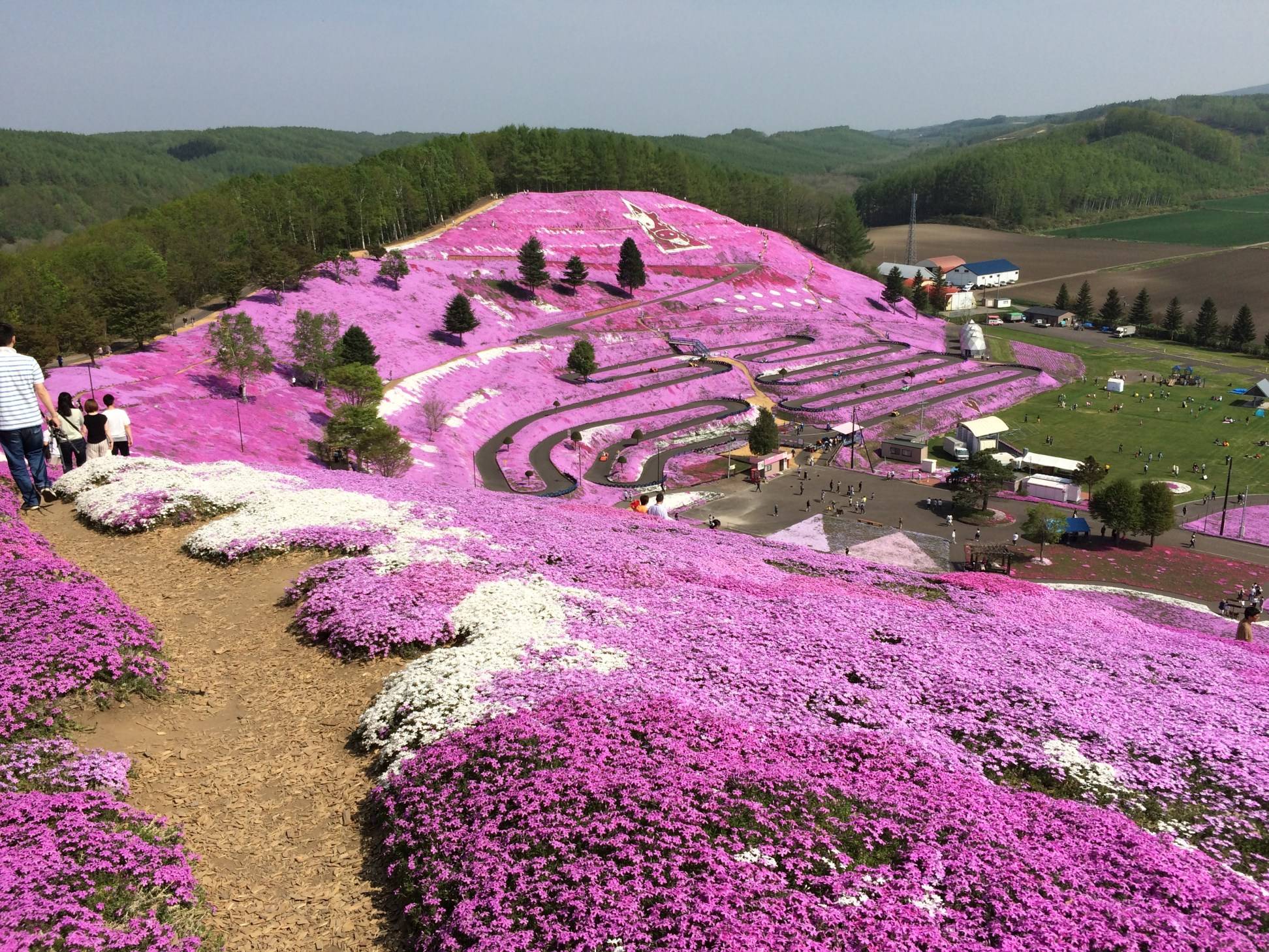 Цветочные поля, Хоккайдо, Япония