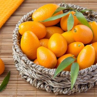 Кумкват – золотой апельсин на подоконнике