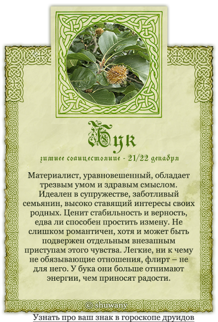 Гороскоп друидов - деревья по дням рождения с описанием