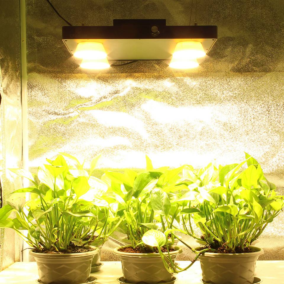 Искусственное освещение для комнатных растений своими руками | 1posvetu.ru