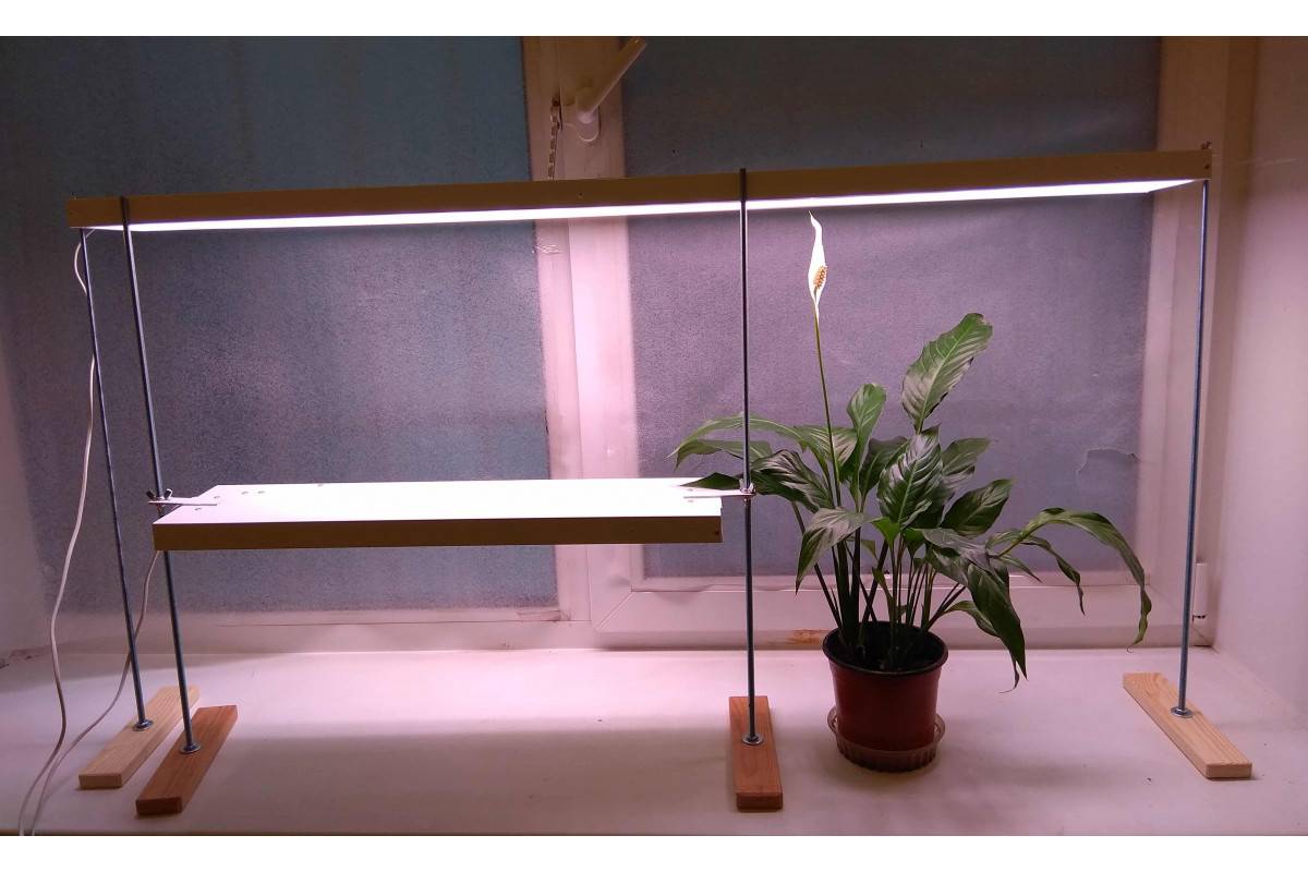 Как выбрать лампу для рассады и домашних растений