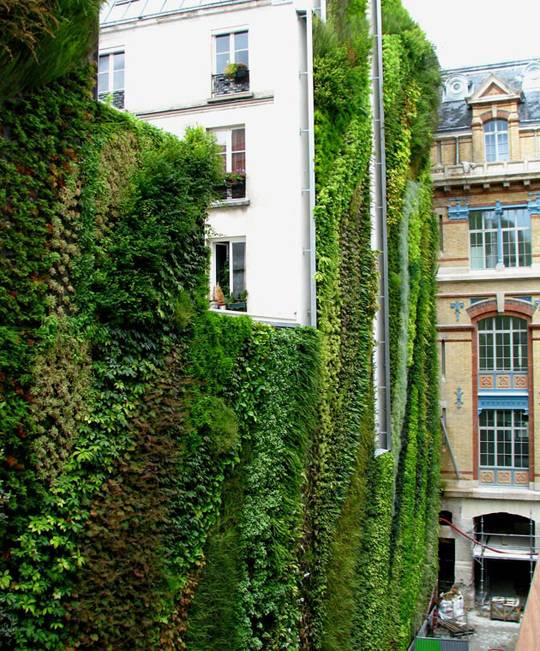 «живые» фасады от патрика блана: как заставить расти траву и цветы на вертикальных поверхностях