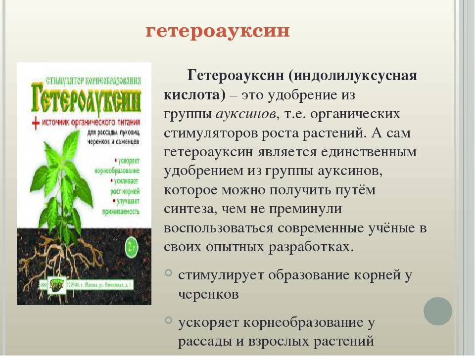 Стимуляторы роста растений: циркон, атлет, корневин, гиббереллины и другие - ecodobavki