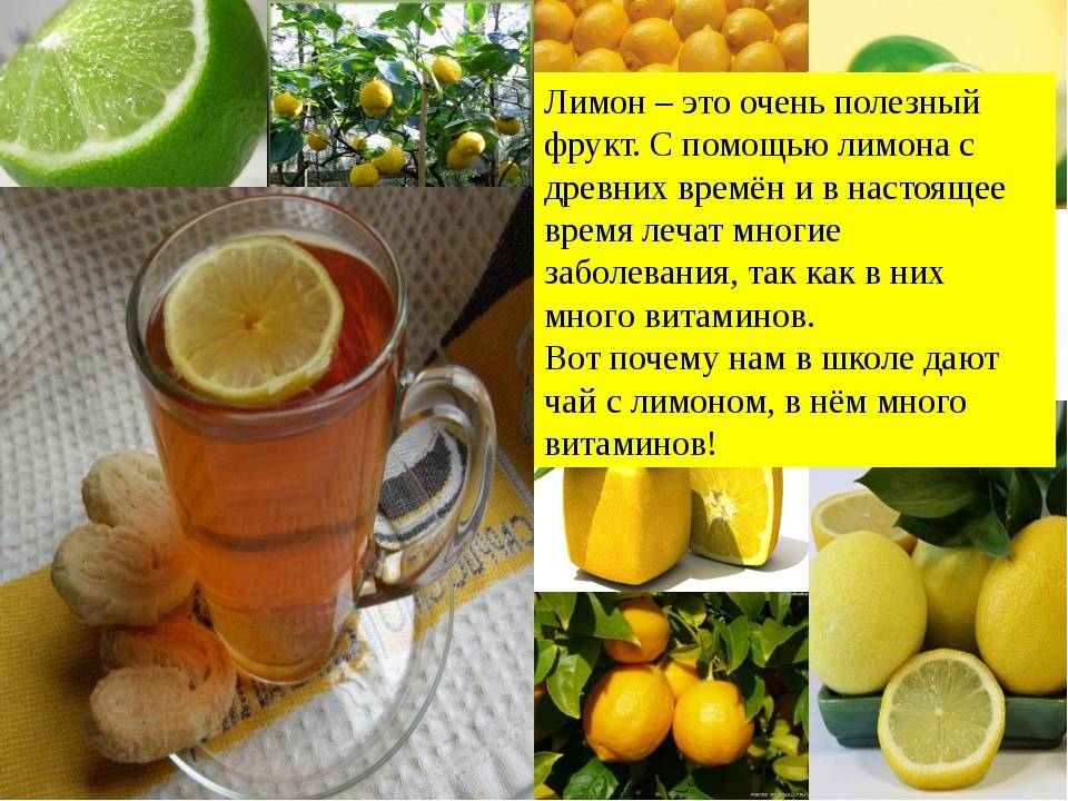 Советы по уходу за лимоном, чтобы он плодоносил