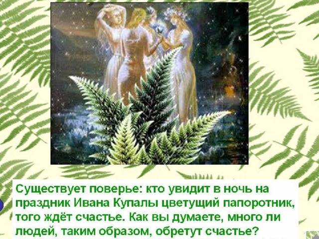 Легенда о папоротнике на ивана купала - дневник садовода rest-dvor.ru