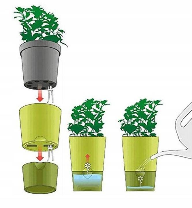 Выращивание растений по системе pot-in-pot