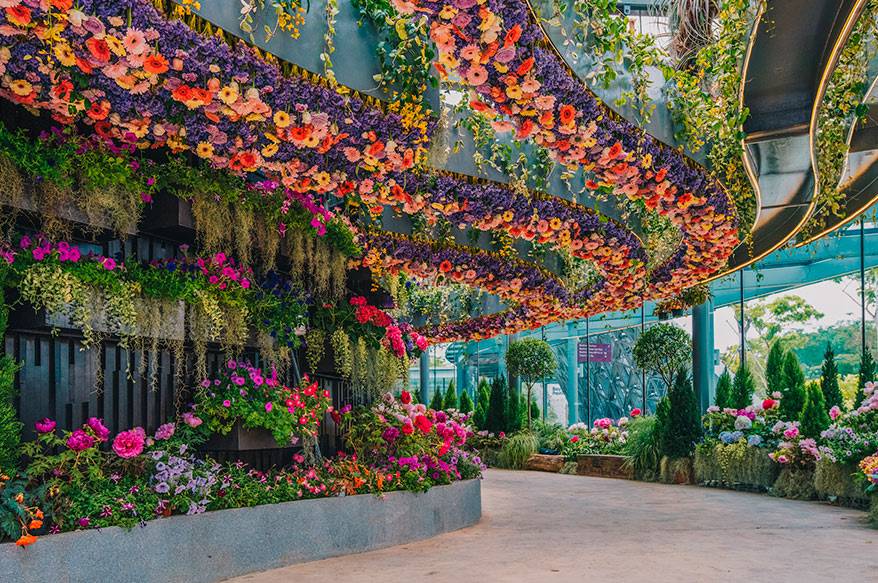 Где проводятся самые масштабные цветочные выставки и что на них можно увидеть