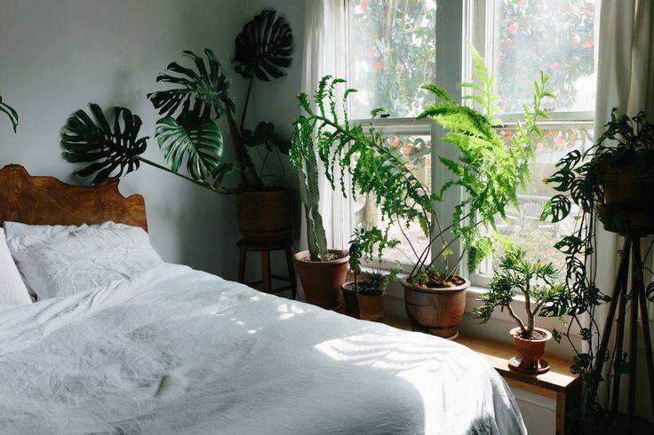 Зеленая спальня (150 фото): лучшие сочетания и новинки дизайна с зеленым оттенком + советы по созданию уютного интерьера