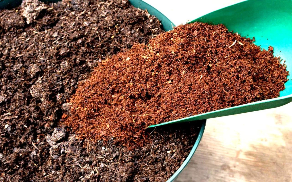 Как самому приготовить грунт для комнатных растений: компоненты идеальной почвосмеси