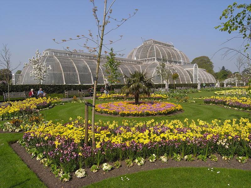 Достопримечательность лондона: королевские ботанические сады кью - lingua-airlines.ru