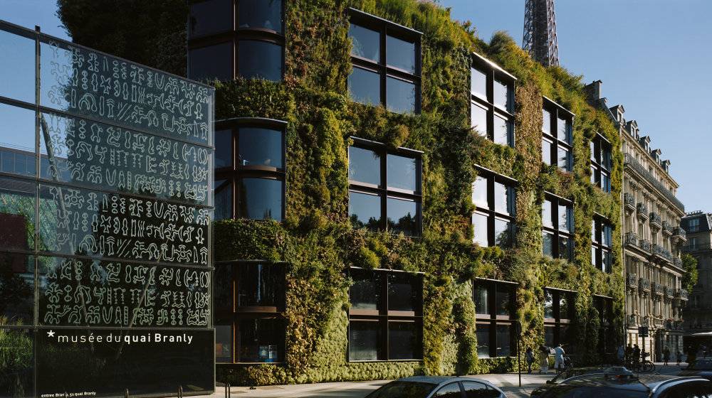 Вертикальная история сада - лучшие растения для стен - дом 2022