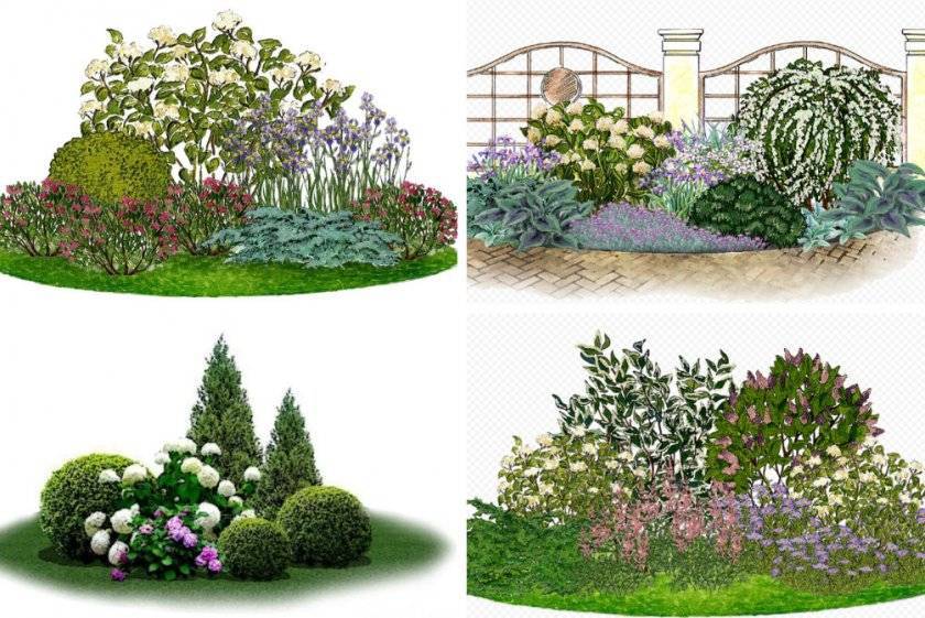 Гортензии в ландшафтном дизайне сада и дачного участка: идеи композиций из разных видов и сортов с фото, сочетание с другими растениями