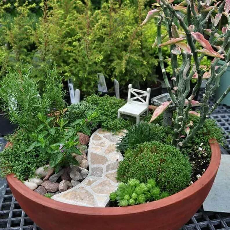 Как своими руками создать мини сад в горшке: делаем красивые композиции миниатюрных садовых участков
