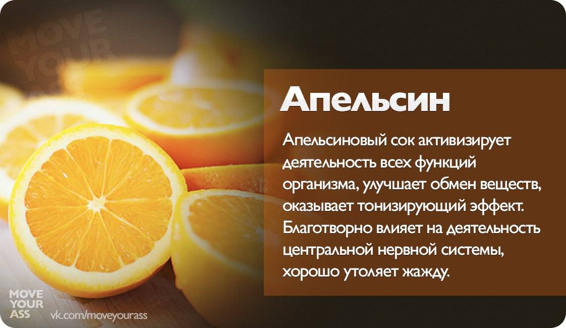 Апельсин - 101 фото и видео крайне полезного тропического фрукта