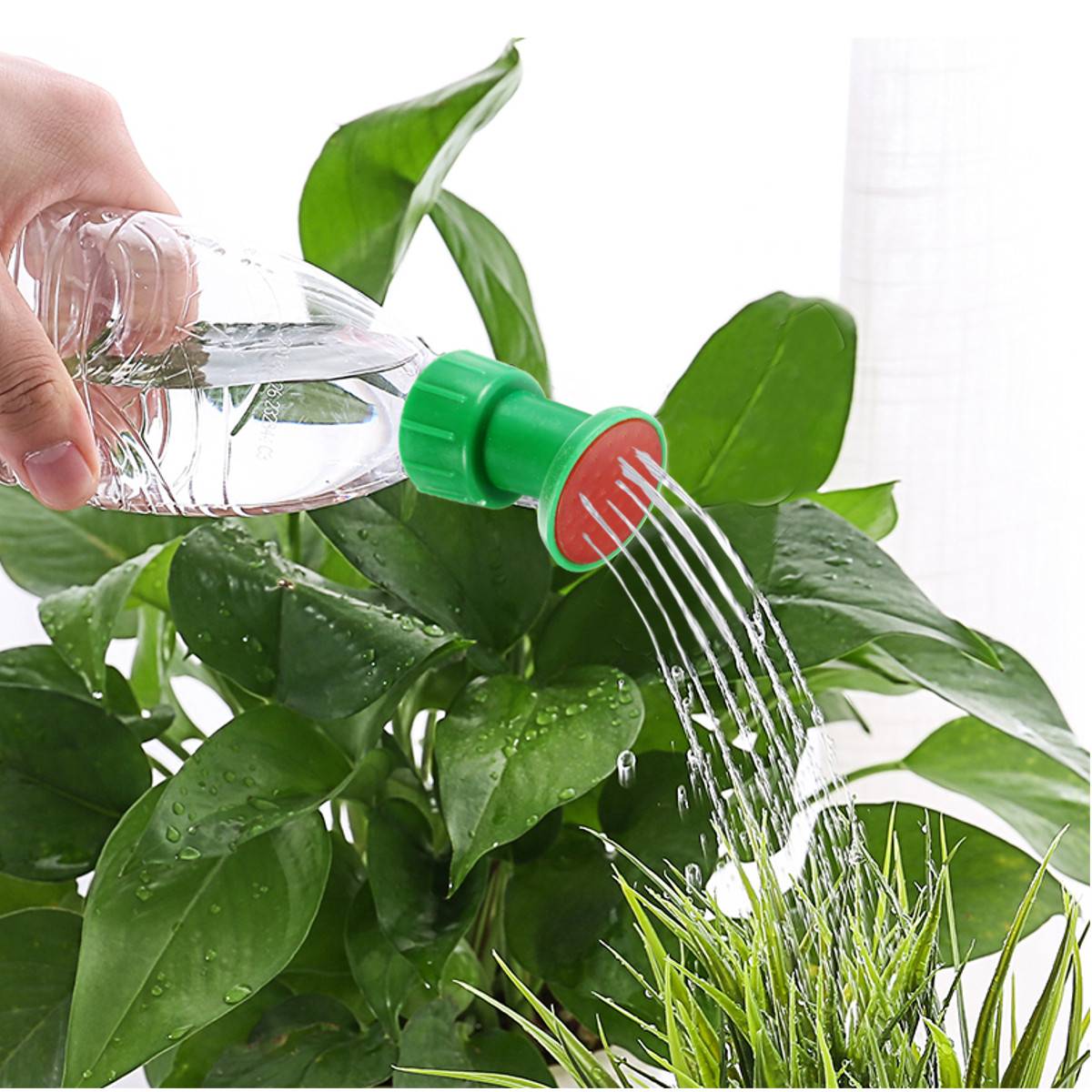Как смягчить воду для полива растений в домашних условиях?
