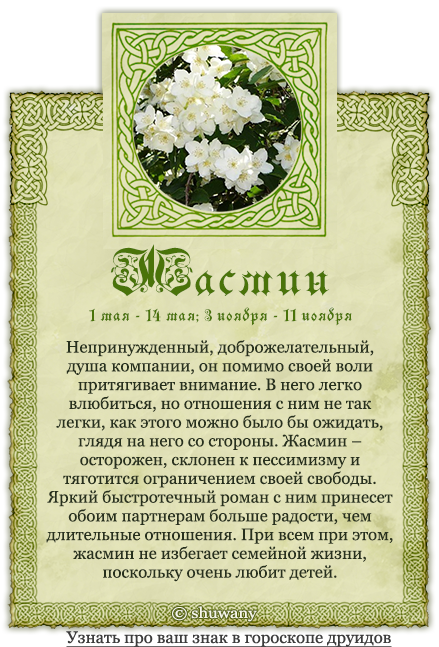 Древесный гороскоп друидов: характер по дню рождения, совместимость знаков
