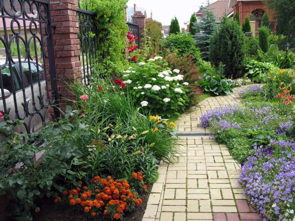 Цветущие и вечнозеленые декоративные кустарники для сада и дачи