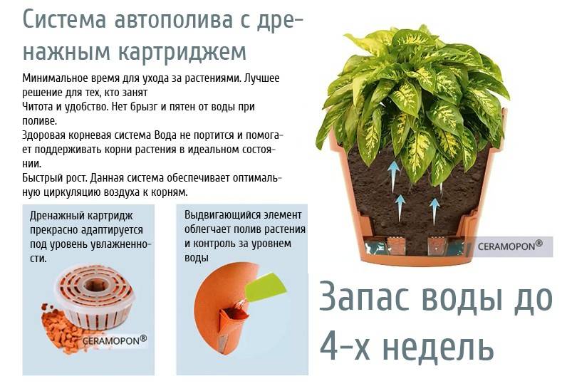 Дренаж для комнатных растений: общее описание, материалы и суть дренажных отверстий в горшке