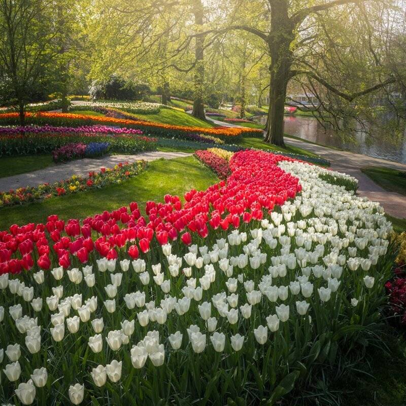 Лучшие парки мира: кёкенхоф, нидерланды